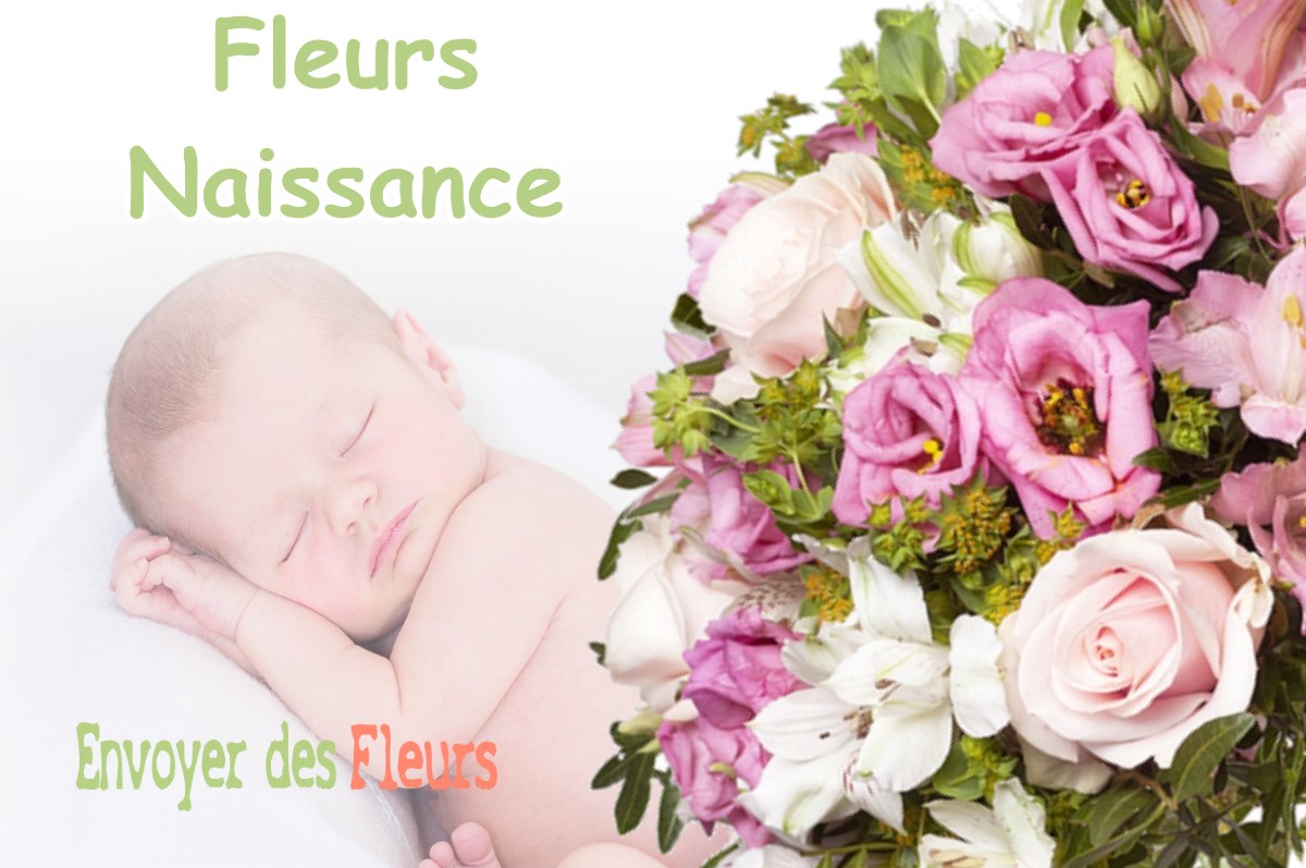 lIVRAISON FLEURS NAISSANCE à MAISOD